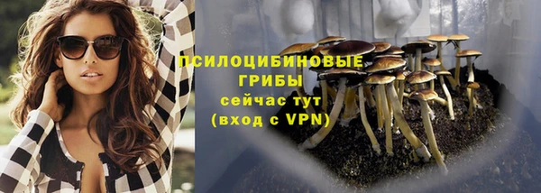 a pvp Аркадак