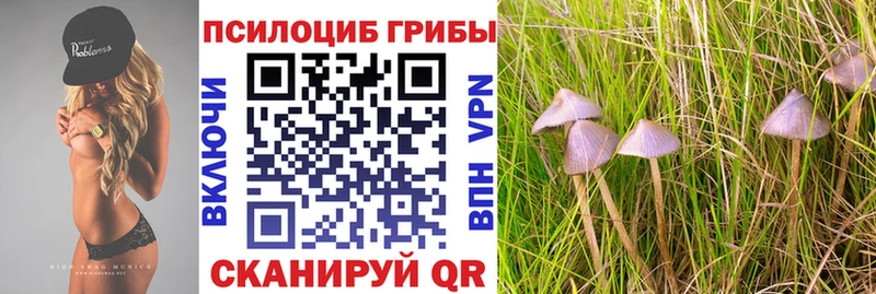 Галлюциногенные грибы Psilocybine cubensis  Реж 